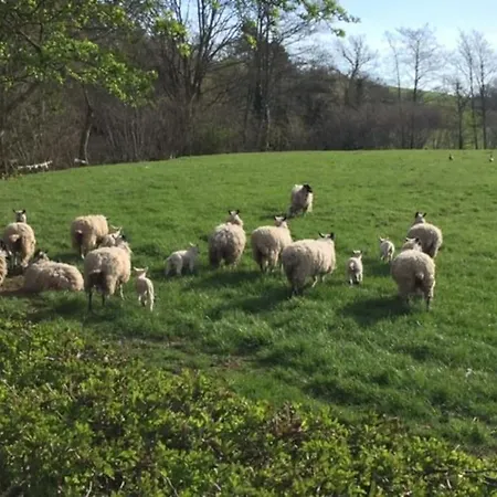 Free Hot Tub Use, Exclusive Idyllic Large Themed Cumbrian Mill Countryside 100s 5star Loved *