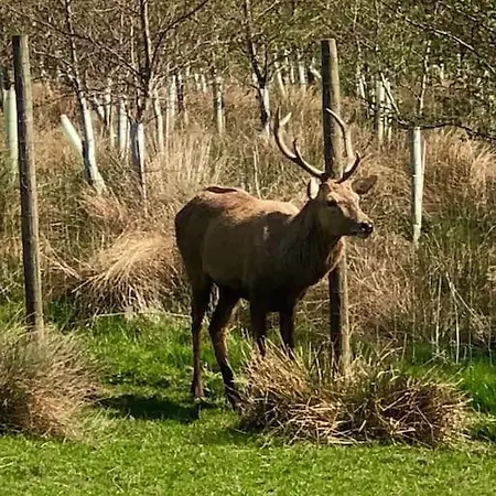 Free Hot Tub Use, Exclusive Idyllic Large Themed Cumbrian Mill Countryside 100s 5star Loved 度假居 卡莱尔