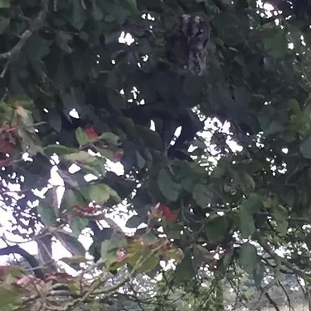 Free Hot Tub Use, Exclusive Idyllic Large Themed Cumbrian Mill Countryside 100s 5star Loved 度假居 卡莱尔