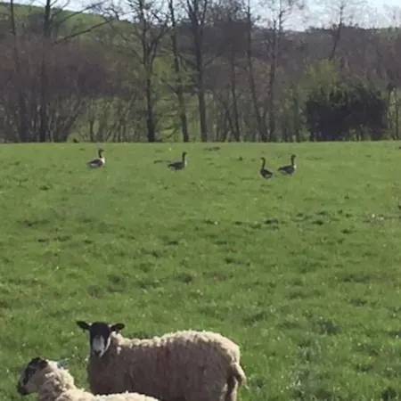 度假居 Free Hot Tub Use, Exclusive Idyllic Large Themed Cumbrian Mill Countryside 100s 5star Loved