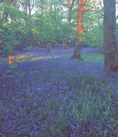 Free Hot Tub Use, Exclusive Idyllic Large Themed Cumbrian Mill Countryside 100s 5star Loved * 卡莱尔