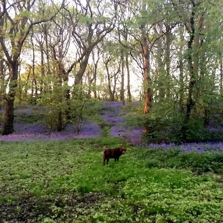 度假居 Free Hot Tub Use, Exclusive Idyllic Large Themed Cumbrian Mill Countryside 100s 5star Loved *