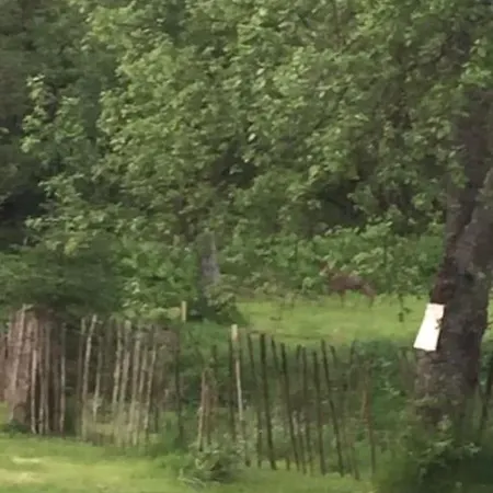 Free Hot Tub Use, Exclusive Idyllic Large Themed Cumbrian Mill Countryside 100s 5star Loved * 卡莱尔