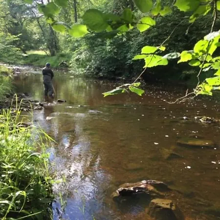 Free Hot Tub Use, Exclusive Idyllic Large Themed Cumbrian Mill Countryside 100s 5star Loved Semesterbostad Carlisle (Cumbria)